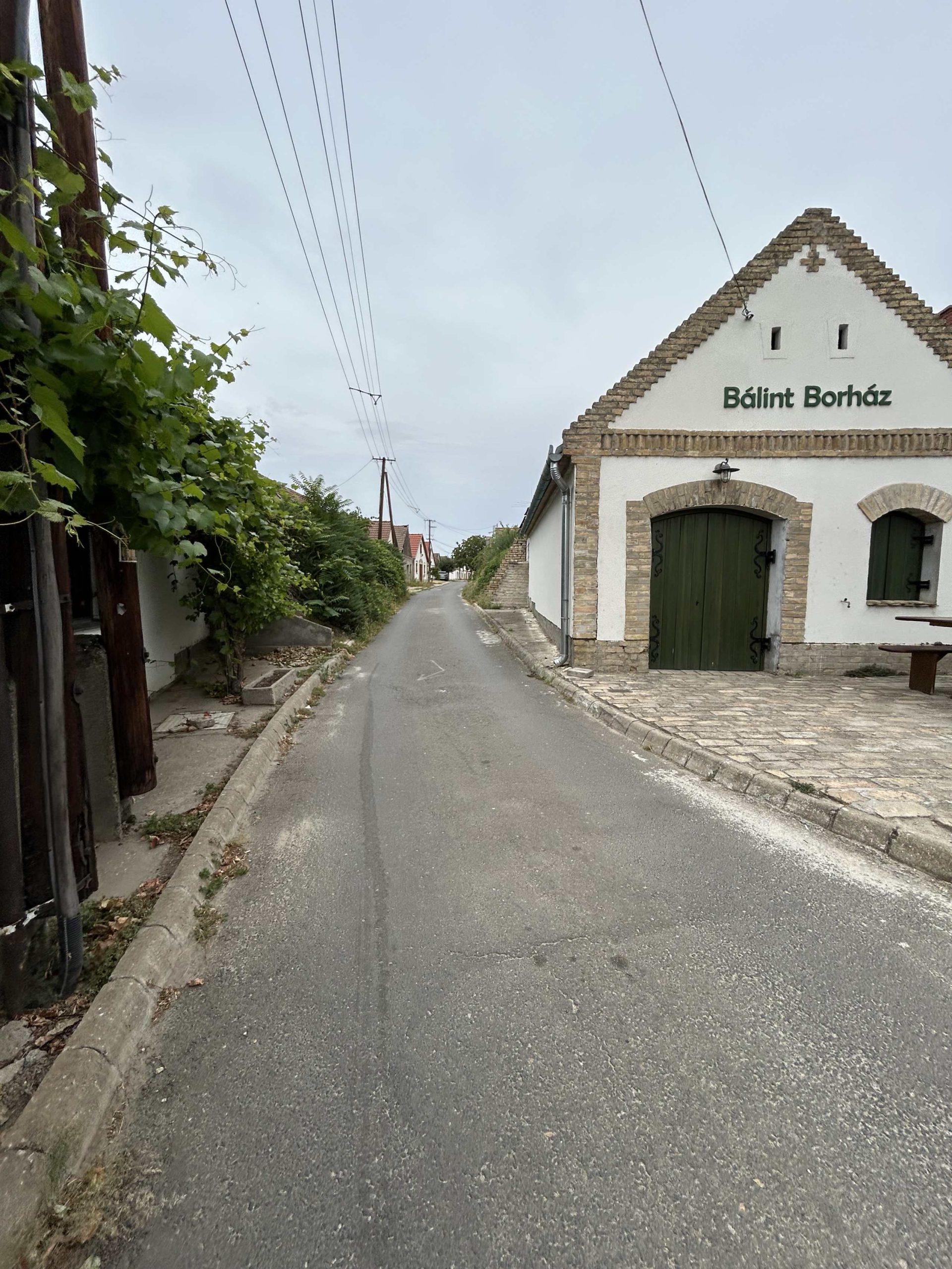 Séta a Hajósi Pincefaluban