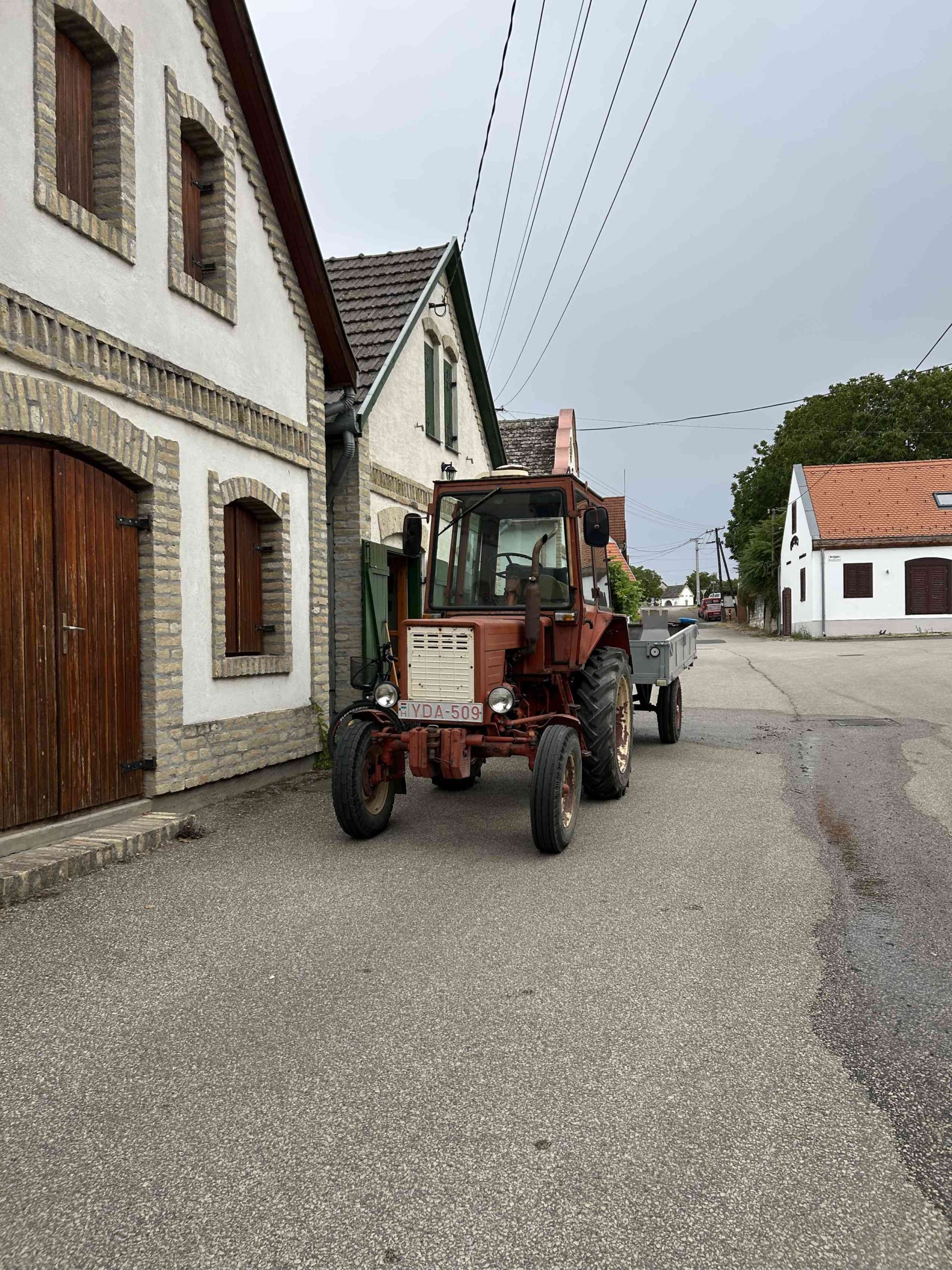 Programok a Hajósi Pincefaluban